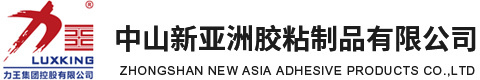 中山BBIN宝盈集团胶粘制品有限公司